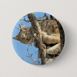 Mischievous Lynx 6 Cm Round Badge