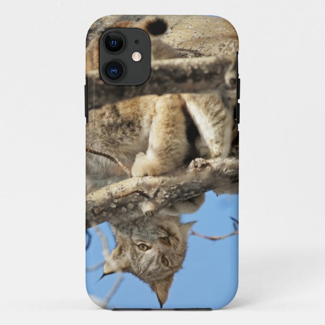 Mischievous Lynx Case-Mate iPhone Case (Back)