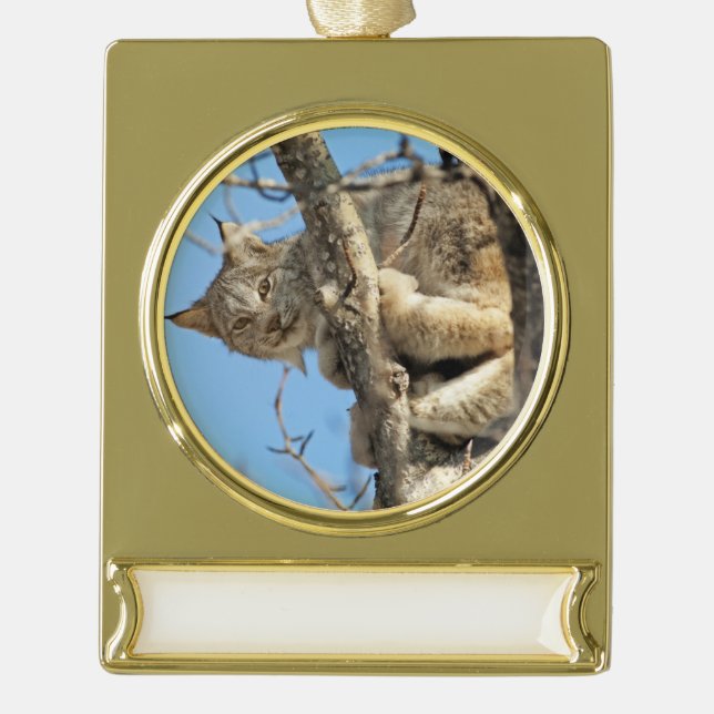 Mischievous Lynx Gold Plated Banner Ornament (Front)