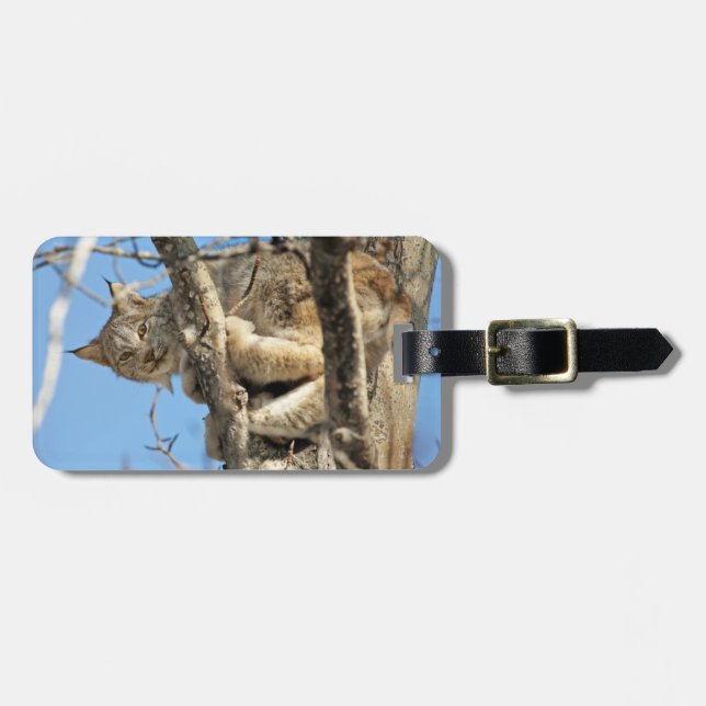 Mischievous Lynx Luggage Tag (Front Horizontal)