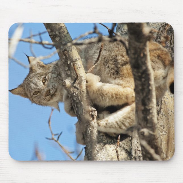 Mischievous Lynx Mouse Pad (Front)