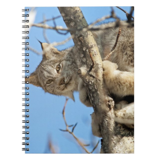 Mischievous Lynx Spiral Notebook (Front)