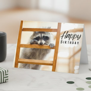Mischievous Racoon Birthday Card
