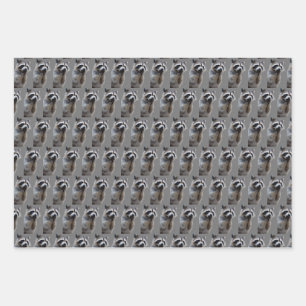 Mischievous Racoon   Wrapping Paper Sheet