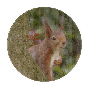 Mischievous Red Squirrel Cutting Board