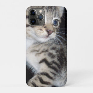 Mischievous Tabby Kitten, Case-Mate iPhone Case