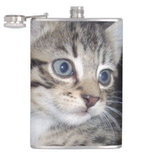 Mischievous Tabby Kitten, Hip Flask