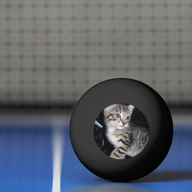 Mischievous Tabby Kitten,  Ping Pong Ball (Net)
