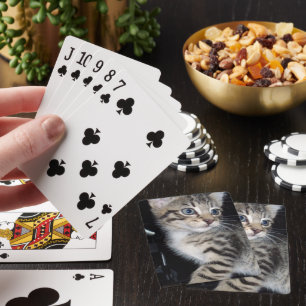 Mischievous Tabby Kitten,  Playing Cards