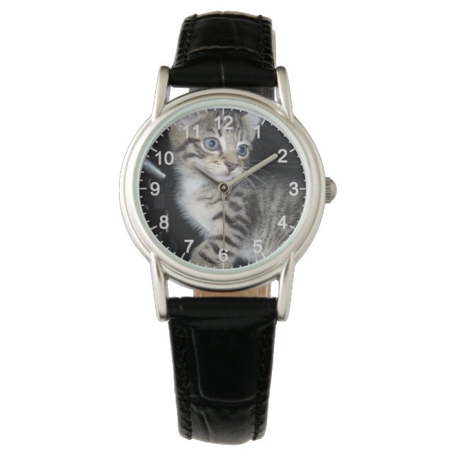 Mischievous Tabby Kitten, Watch (Front)