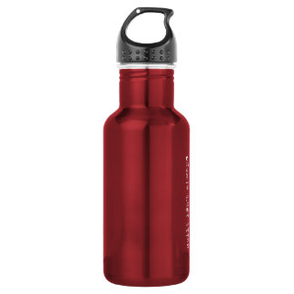 misconduct. 18oz Stainless Steel Water Bottle