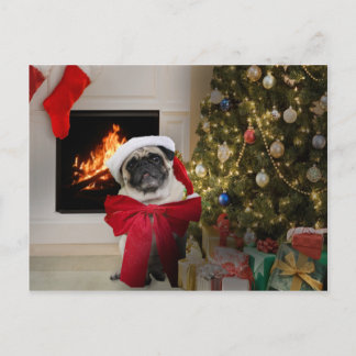 Misha pug wearing a bow for the Christmas holiday. Holiday Postcard