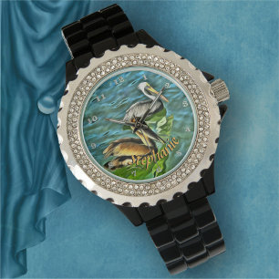 Mismaloya Pelicans 0329 Watch