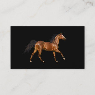 Miss America Rodeo Horse Business Cards