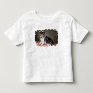 Miss Ann White's Kitten, 1790 Toddler T-Shirt