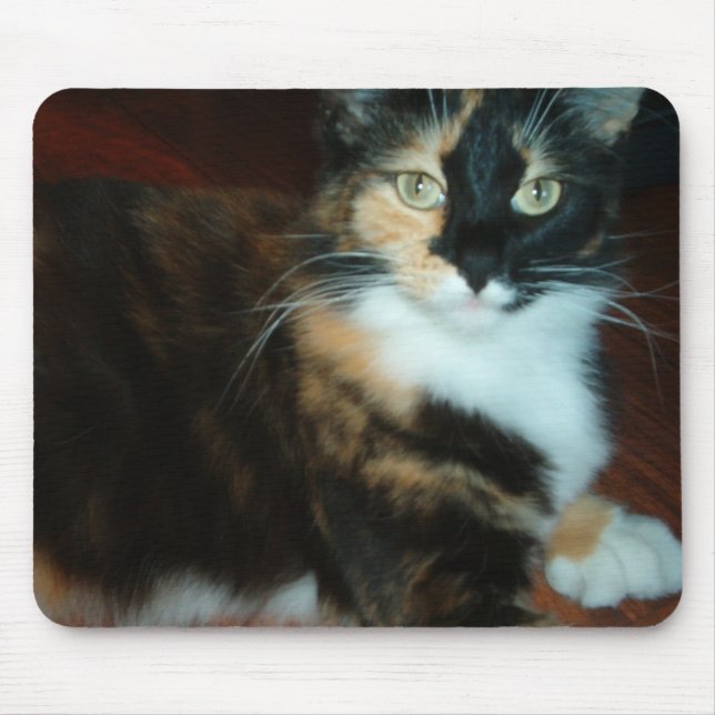 Miss Calico Kitty quality mouse pad (Front)
