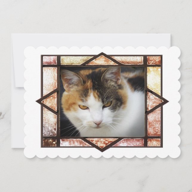 Miss Kitty (Front)