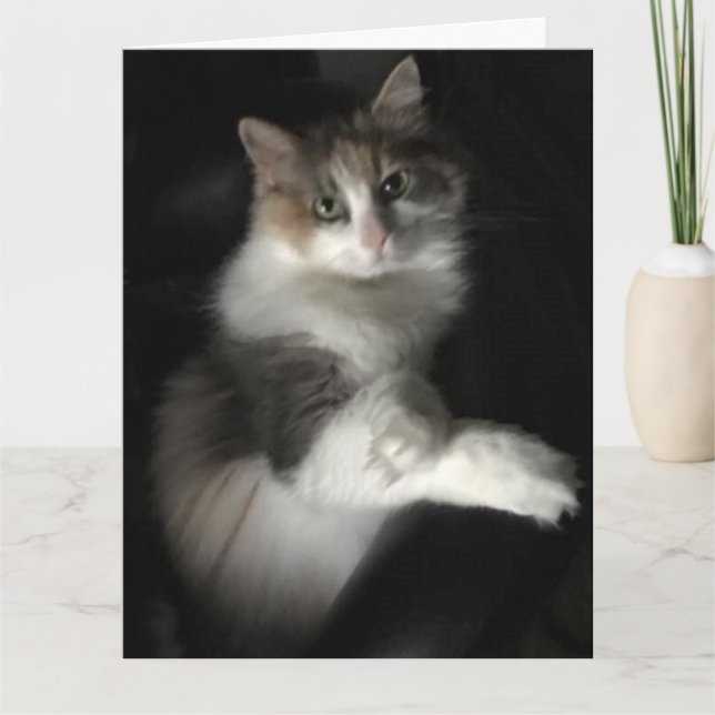 miss kitty card (Front)