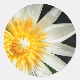 Miss Sunshine Classic Round Sticker
