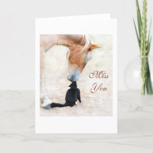 Miss You - a big horse and a tiny cat nose to nose Card