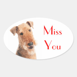 Miss You Airedale Terrier Puppy Dog Sticker