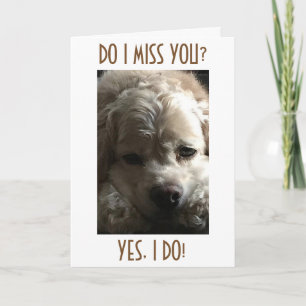 MISS YOU ALL YEAR THROUGH-BUT MOST AT CHRISTMAS HOLIDAY CARD