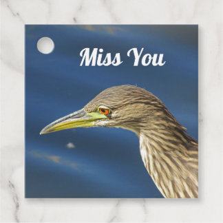 Miss You Brown Bird Long Distance Friendship Favour Tags