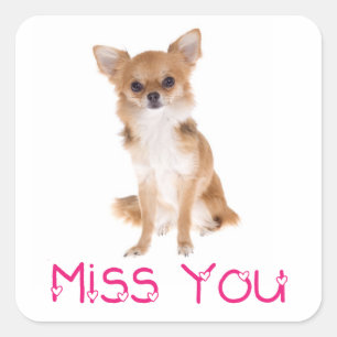 Miss You Chihuahua Puppy Dog Sticker Label