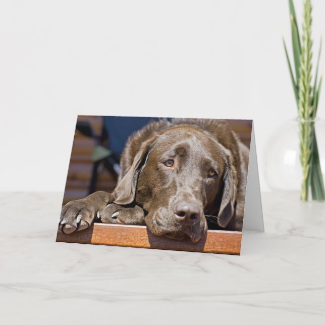 Miss You Chocolate Labrador Retriever Photo Card (Front)