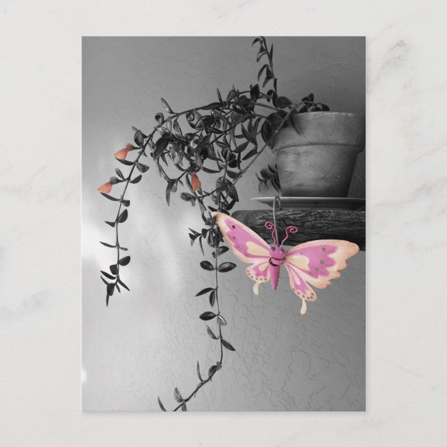 Miss You Colour Splash Butterfly Still Life Photo Postcard (Front)