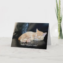 Miss you Cute Orange Kitten Card Anyone Home?