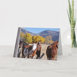 Miss You Friend Horses Western Mountain Art Card