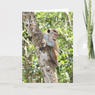 Miss You Greeting Card
