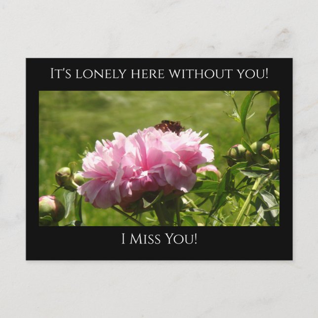 Miss You, It's Lonely Here Pink Peonies Postcard (Front)