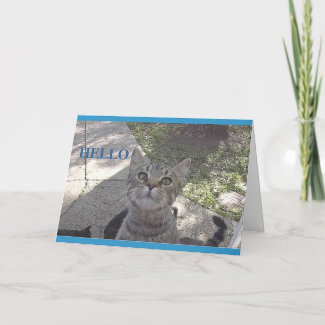 Miss You kitty card (Front)