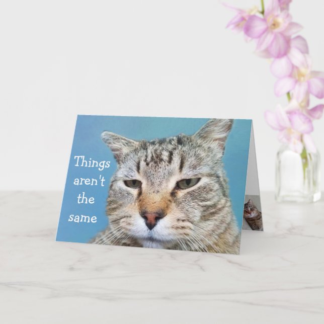Miss You Lonely Cat Card (Orchid)