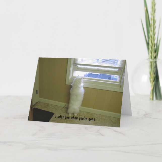 Miss you-No tail cat Card (Front)