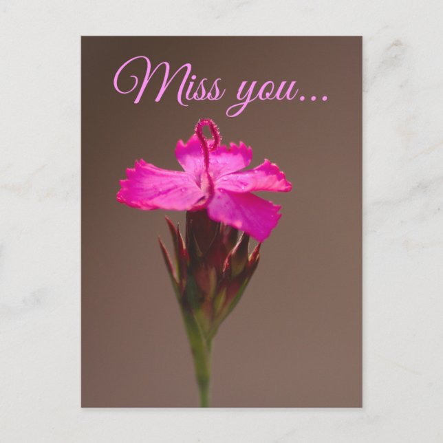 Miss you. postcard (Front)