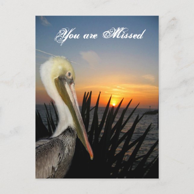 Miss You_ Postcard (Front)