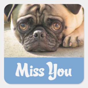 Miss You Pug Puppy Dog Greeting Stickers