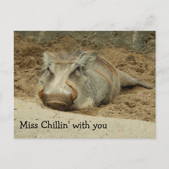 Miss You Wathog Postcard (Front)