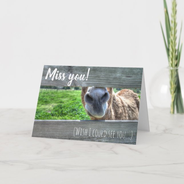 Miss You Wish I Could See You Blank Card (Front)