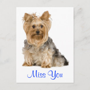 Miss You Yorkshire Terrier Puppy Dog Postcard