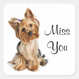 Miss You Yorkshire Terrier Puppy Dog Stickers