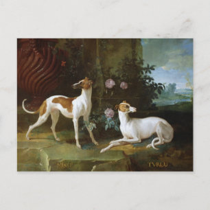 Misse and Turlu, two greyhounds of Louis XV Postcard