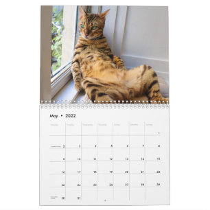 Missenell  2022 calendar