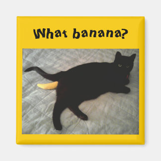 Missing banana cat toy magnet