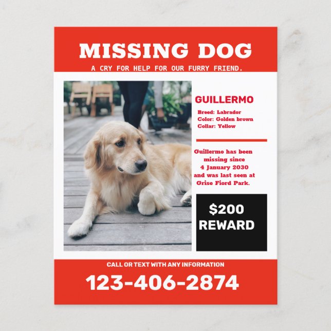 Missing dog photo ad poster flyer (Front)