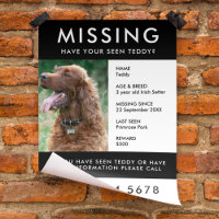 Missing Dog Poster Photo Handout Flyer