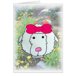 Missing Ewe
